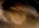 Sand Pattern